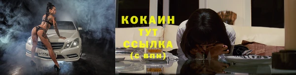 спайс Абаза