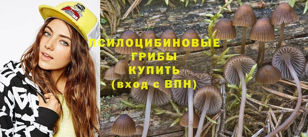 2c-b Абинск